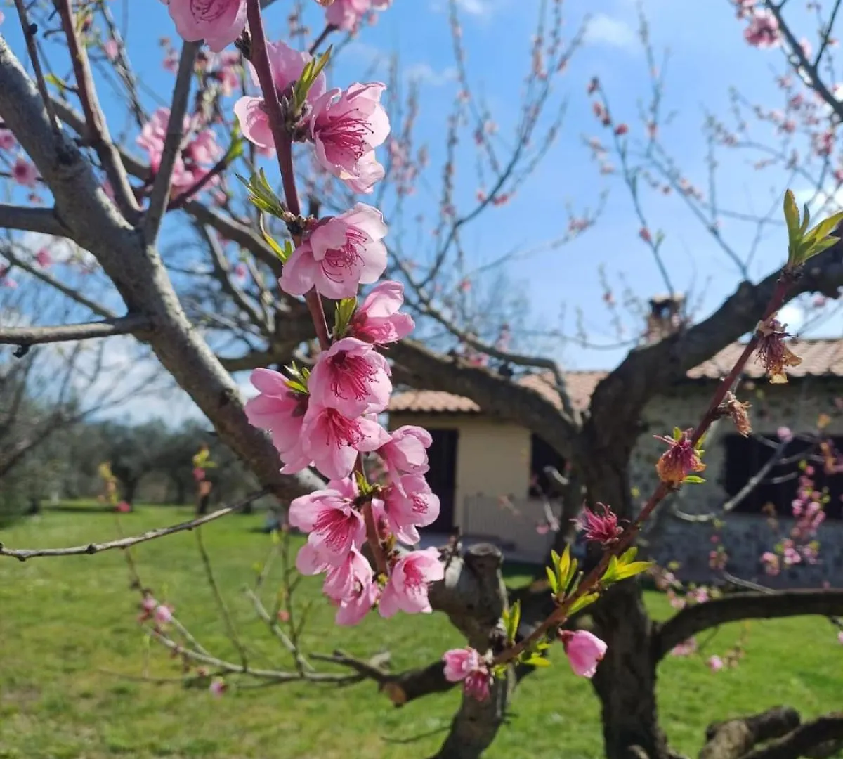 הוילה Montemassi Pietre Focaie - Campagna&Relax בית נופש